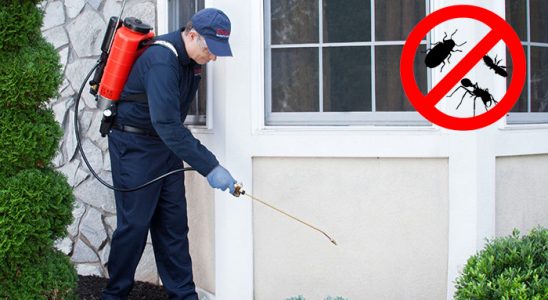 Uğurludağ Karınca İlaçlama böcek ilaçlama ve haşere kontrolü — ilaclama-tr.com